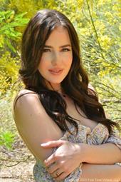 Desert Bloom Desert Bloom