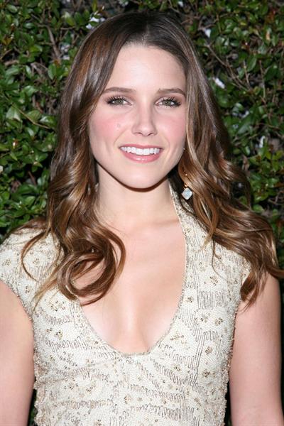 Sophia Bush