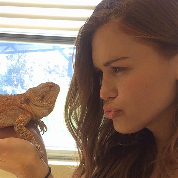 Holland Roden