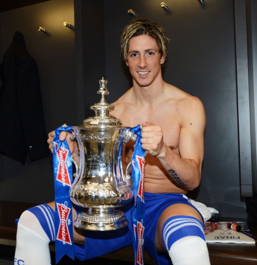 Fernando José Torres Sanz