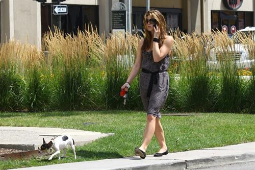 Ashley Greene walking her dog around her hotel in Detroit on July 17, 2010 
