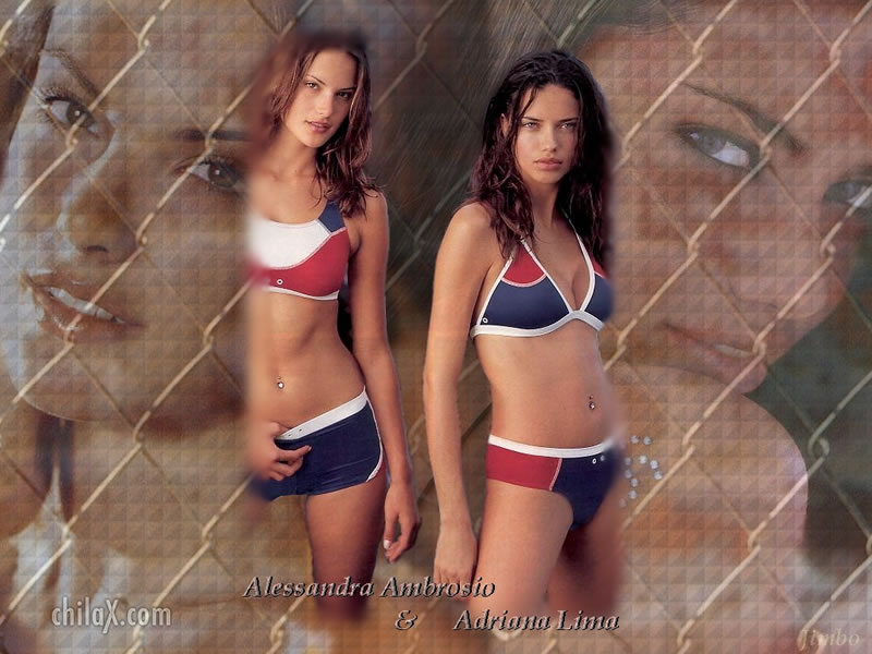 Alessandra Ambrosio in a bikini