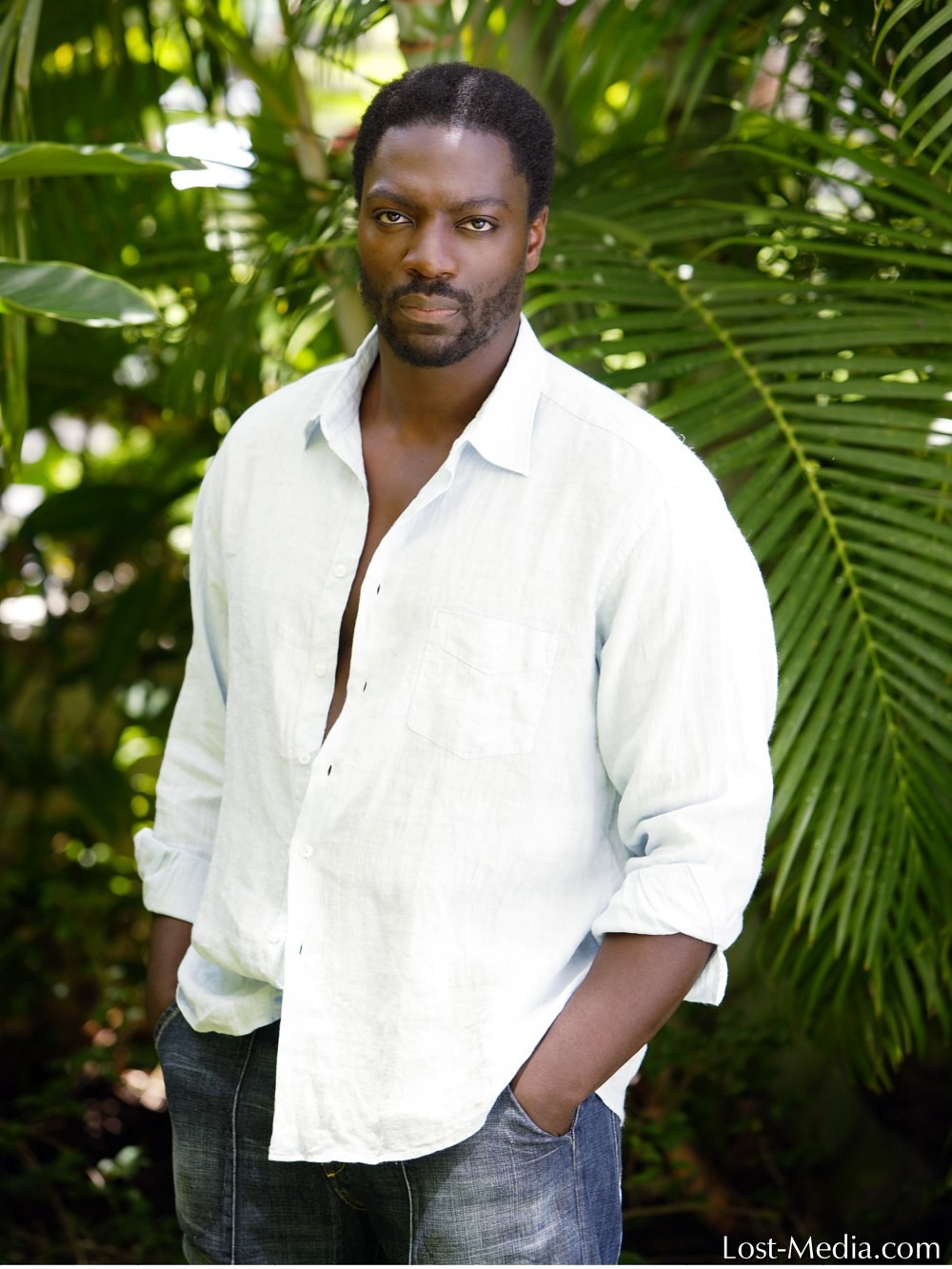 Adewale Akinnuoye-Agbaje