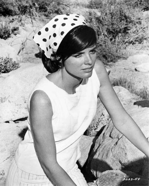 Katharine Ross