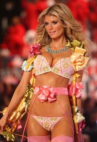 Marisa Miller in a bikini