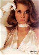 Cybill Shepherd