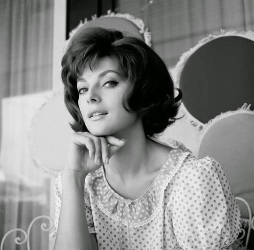 Virna Lisi