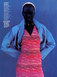 Alek Wek