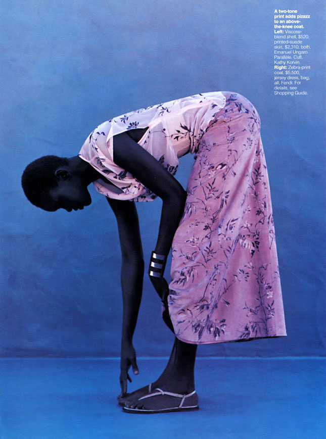 Alek Wek