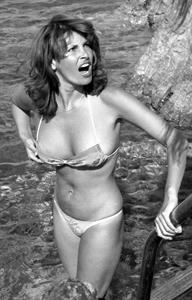 Raquel Welch in a bikini