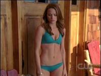 Shantel VanSanten in a bikini