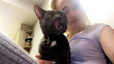 Dove Cameron taking a selfie