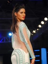 Nargis Fakhri