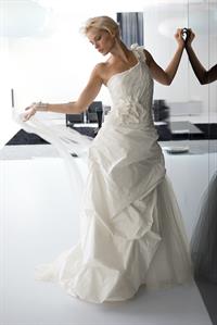 Jessica Van Der Steen