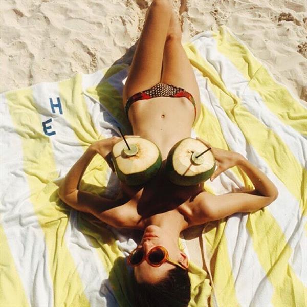 Sofia Sanchez de Betak in a bikini