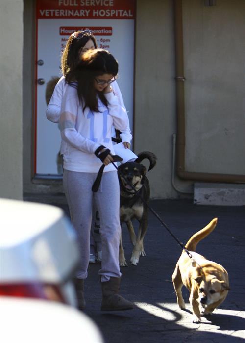 Selena Gomez taking her dogs to a Veterinary Clinic in Encino, November 24, 2012 