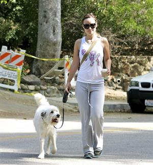 Olivia Wilde walking her dog in the Hollywood Hills on June 24, 2011