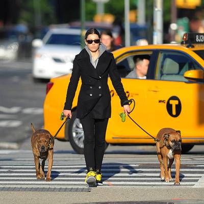 Jessica Biel Takes her two dogs for a long walk in SoHo (May 4, 2013) 