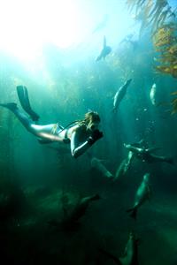 Aimee Teegarden shooting for Oceana 