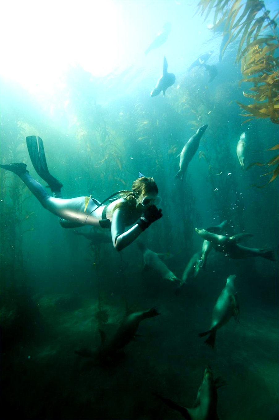 Aimee Teegarden shooting for Oceana 