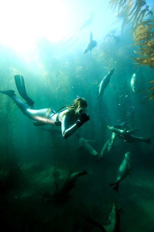 Aimee Teegarden shooting for Oceana 