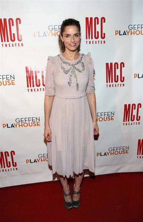 Amanda Peet at The Break of Noon opening night on November 22, 2010 