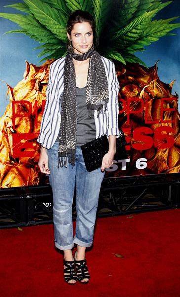 Amanda Peet at the Pineapple Express premiere in Westwood 