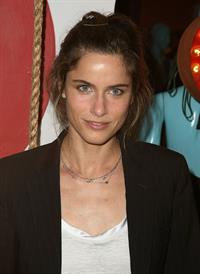 Amanda Peet at the Pineapple Express premiere in Westwood 