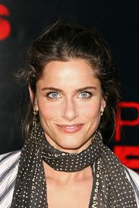 Amanda Peet at the Pineapple Express premiere in Westwood 