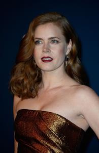 Amy Adams 2013 LACMA Art Film Gala in LA,November 2, 2013 