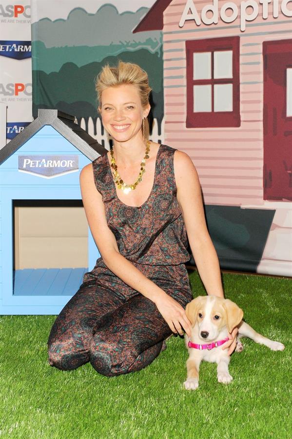 Amy Smart launch of Pet Armor pet protection promise on April 2, 2012