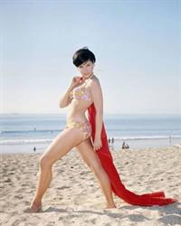 Yvonne Craig in a bikini