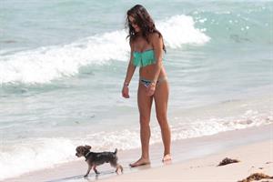 Arianny Celeste wears a sexy Bikini to the beach with her dog Bentley in Miami Nov 1, 2013 