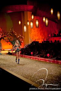 Erin Heatherton in lingerie