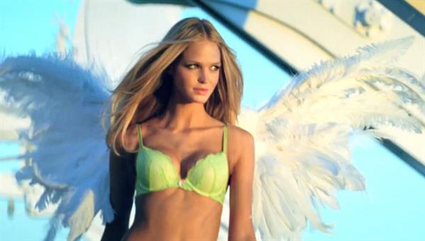 Erin Heatherton in lingerie