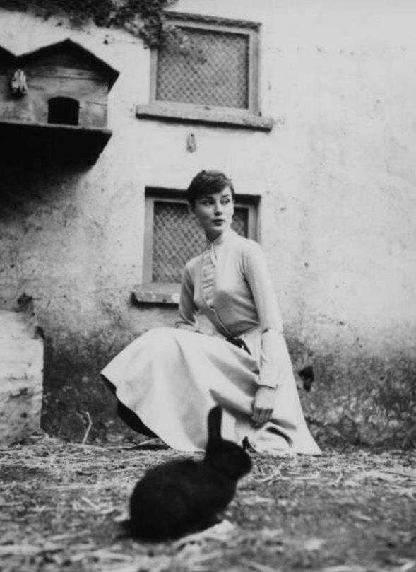 Audrey Hepburn