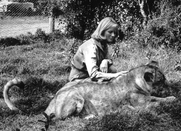 Virginia McKenna