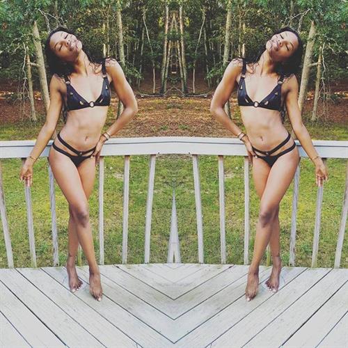 Sharam Diniz in a bikini