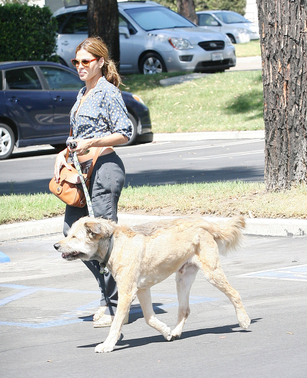 Eva Mendes - Walking her dog in Los Angeles - August 31, 2012