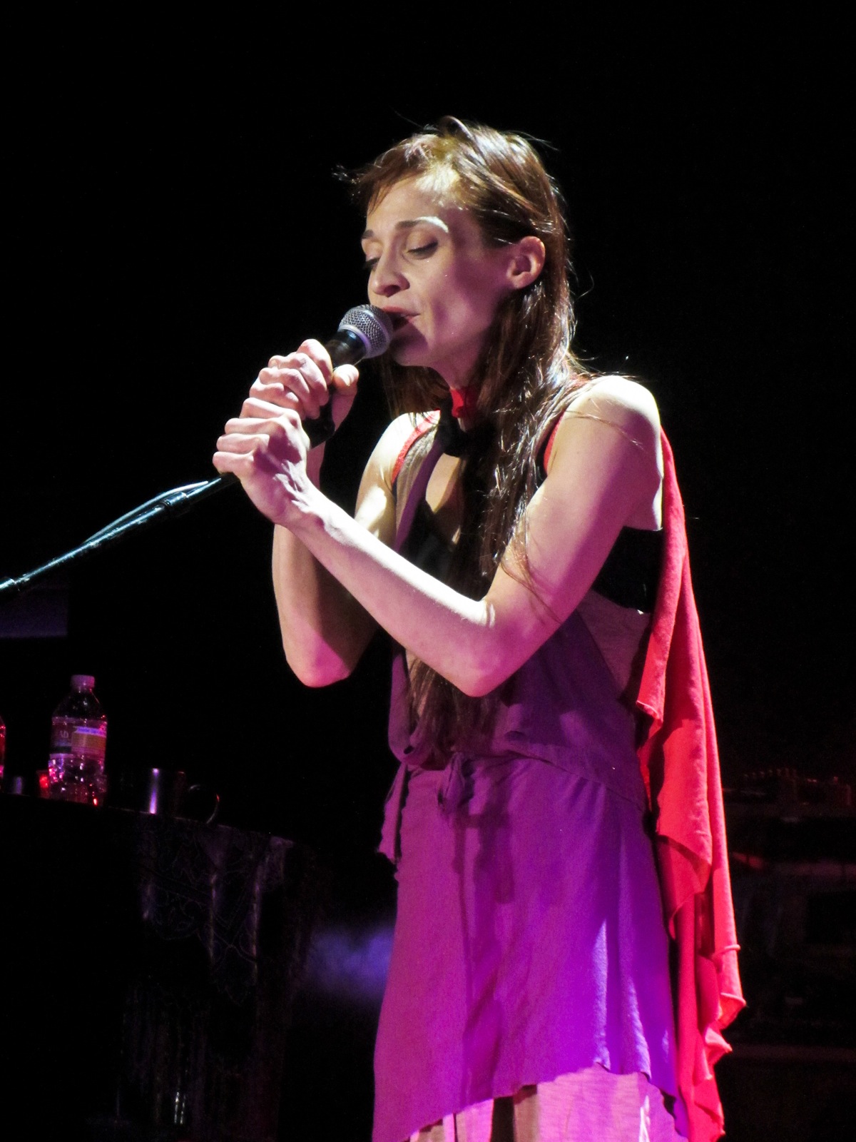 Fiona Apple - Performing at the Hollywood Palladium - July 29, 2012