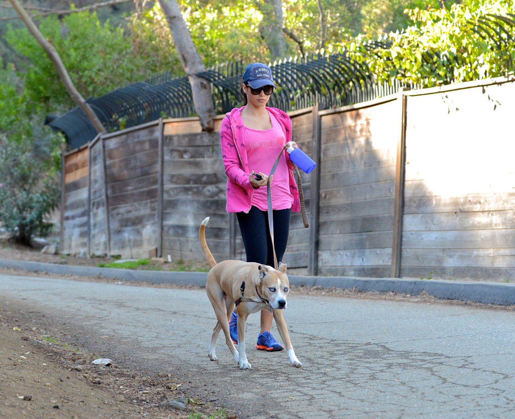 Jenna Dewan Takes her dog for a walk in Runyon Canyon, Los Angeles (November 16, 2012) 