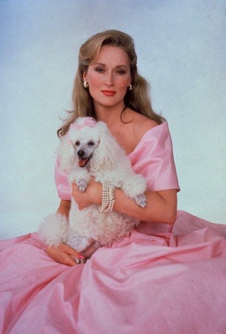 Meryl Streep