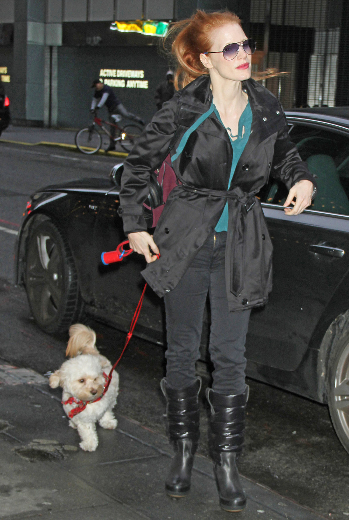 Jessica Chastain Pictures Jessica Chastain with her dog Chaplin arriving to the Walter Kerr Theatre in New York City December 27, 2012