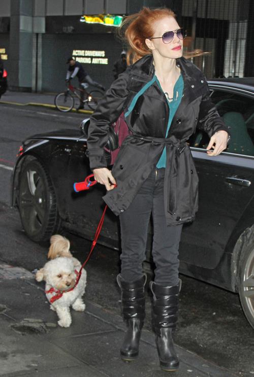 Jessica Chastain with her dog Chaplin arriving to the Walter Kerr Theatre in New York City December 27, 2012 