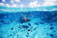 Elyse Knowles in a bikini