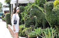 Lana Del Rey in short skirt in West Hollywood 10/11/12 