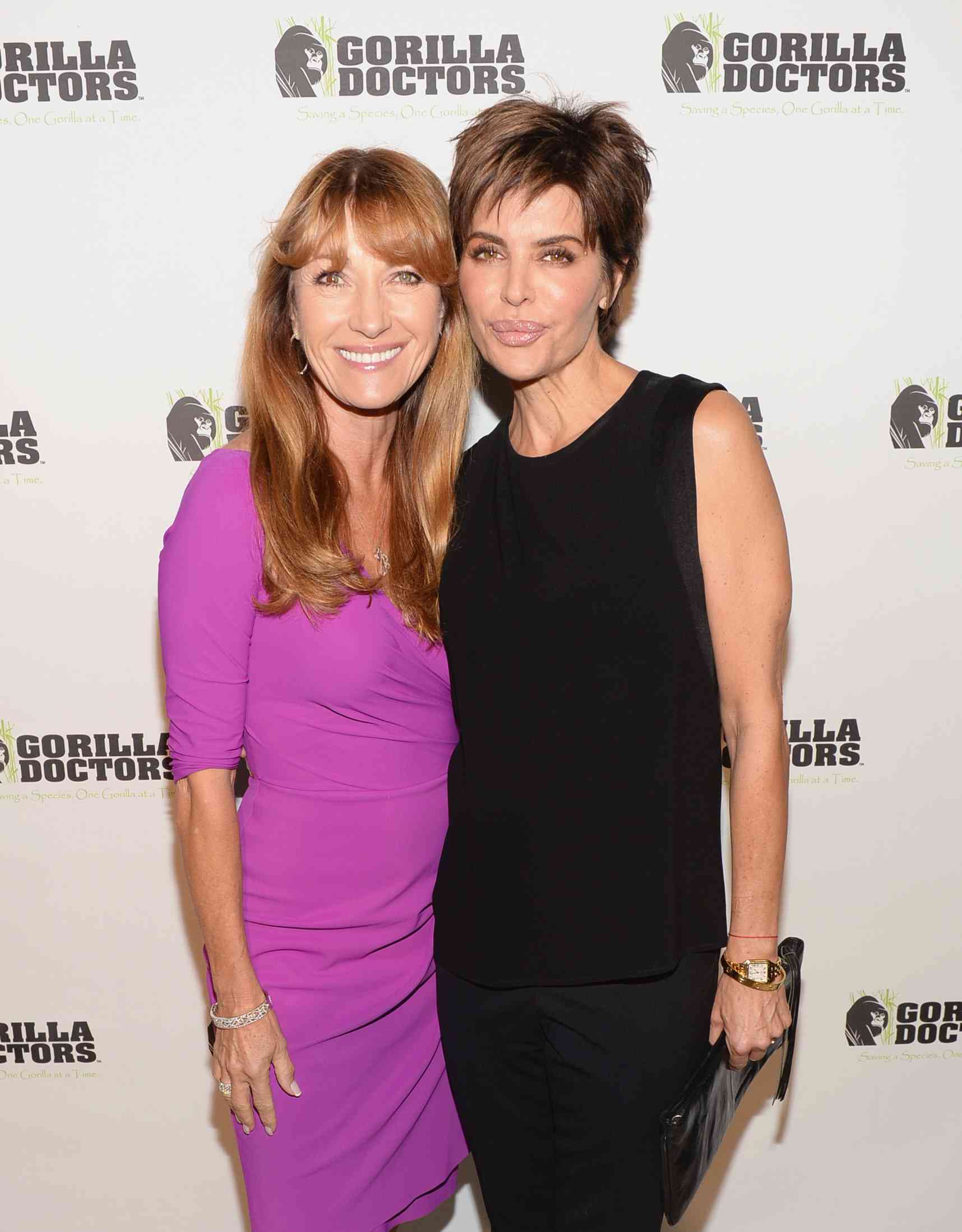 Lisa Rinna Gorilla Doctors of Africa Benefit Event (November 4, 2013) 