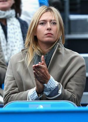 Maria Sharapova Watches her boyfriend on day one of the AEGON Championships at Queens Club in London - June 10, 2013 