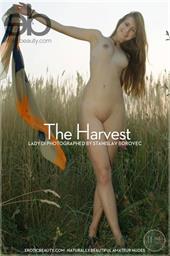 Lady Di in  The Harvest  for Erotic Beauty