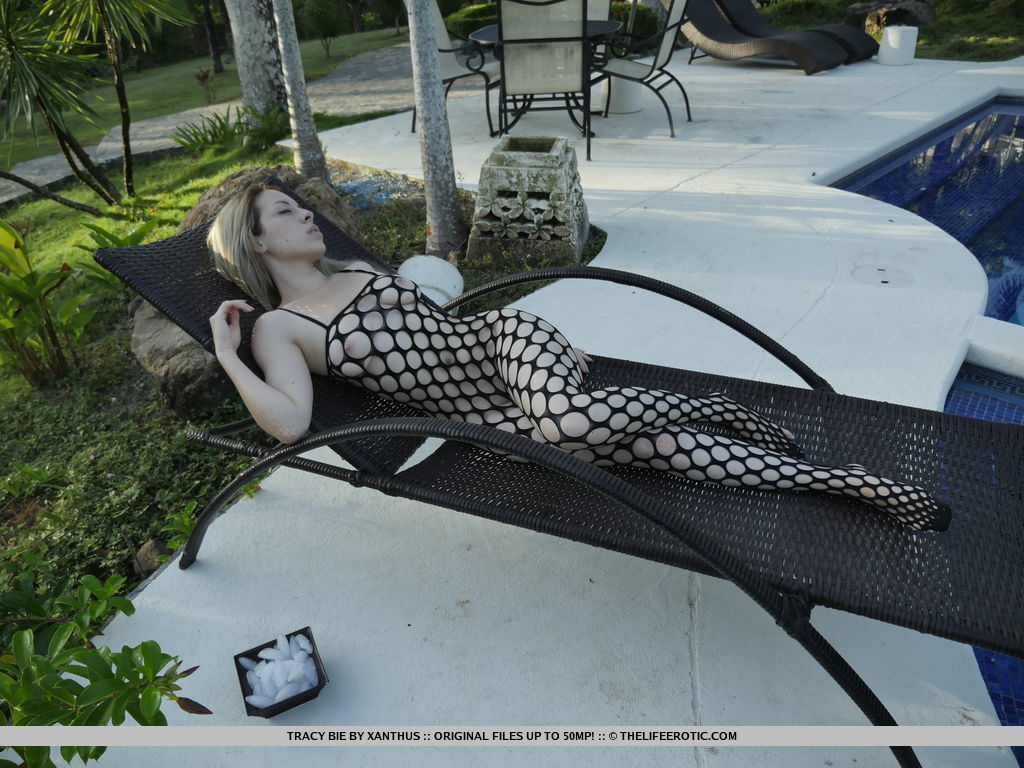 Fishnet lingerie gives Tracy Bie perfect access to her heated pussy -  Paradise 1  for The Life Erotic